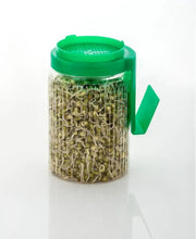 Load image into Gallery viewer, Sprout maker jars