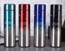 Load image into Gallery viewer, Smart LED Temperature Display Flask 500ML RANDOM COLOUR