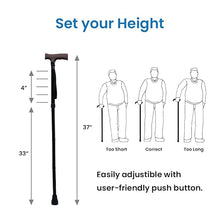 Load image into Gallery viewer, Trusty Cane, Black/ Walking Stick