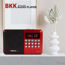 Load image into Gallery viewer, Rechargeable Radio/Bluetooth Speaker