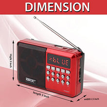 Load image into Gallery viewer, Rechargeable Radio/Bluetooth Speaker