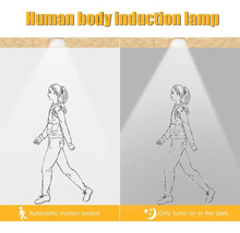 Load image into Gallery viewer, Motion Sensor LED Lamp for Home, Kitchen or Anywhere
