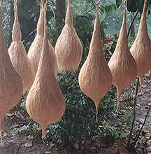 Load image into Gallery viewer, Coir Craft Bird Nest Terrace Balcony Garden