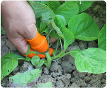 Load image into Gallery viewer, Silicone Thumb Knife with Stainless Steel Blade Fruit Vegetable Picking Thumb Knife Set