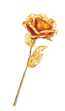 Load image into Gallery viewer, Gold Rose Flower With Golden Leaf with box
