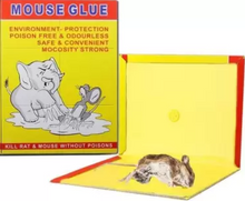Load image into Gallery viewer, Mouse Glue Trap Pad- Pack of 4
