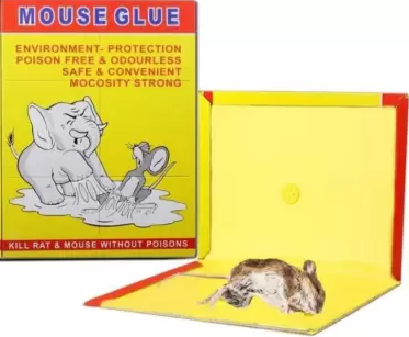 Mouse Glue Trap Pad- Pack of 4